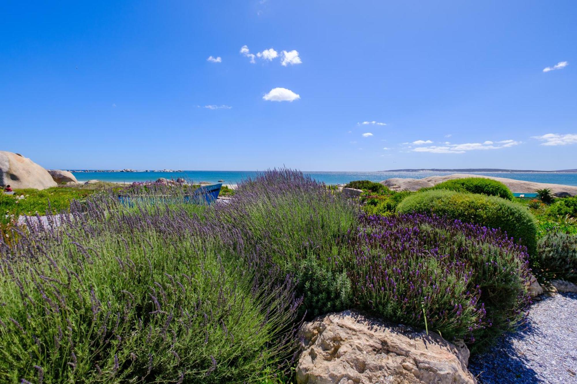 פטרנוסטר Dankbaar Holiday Home מראה חיצוני תמונה